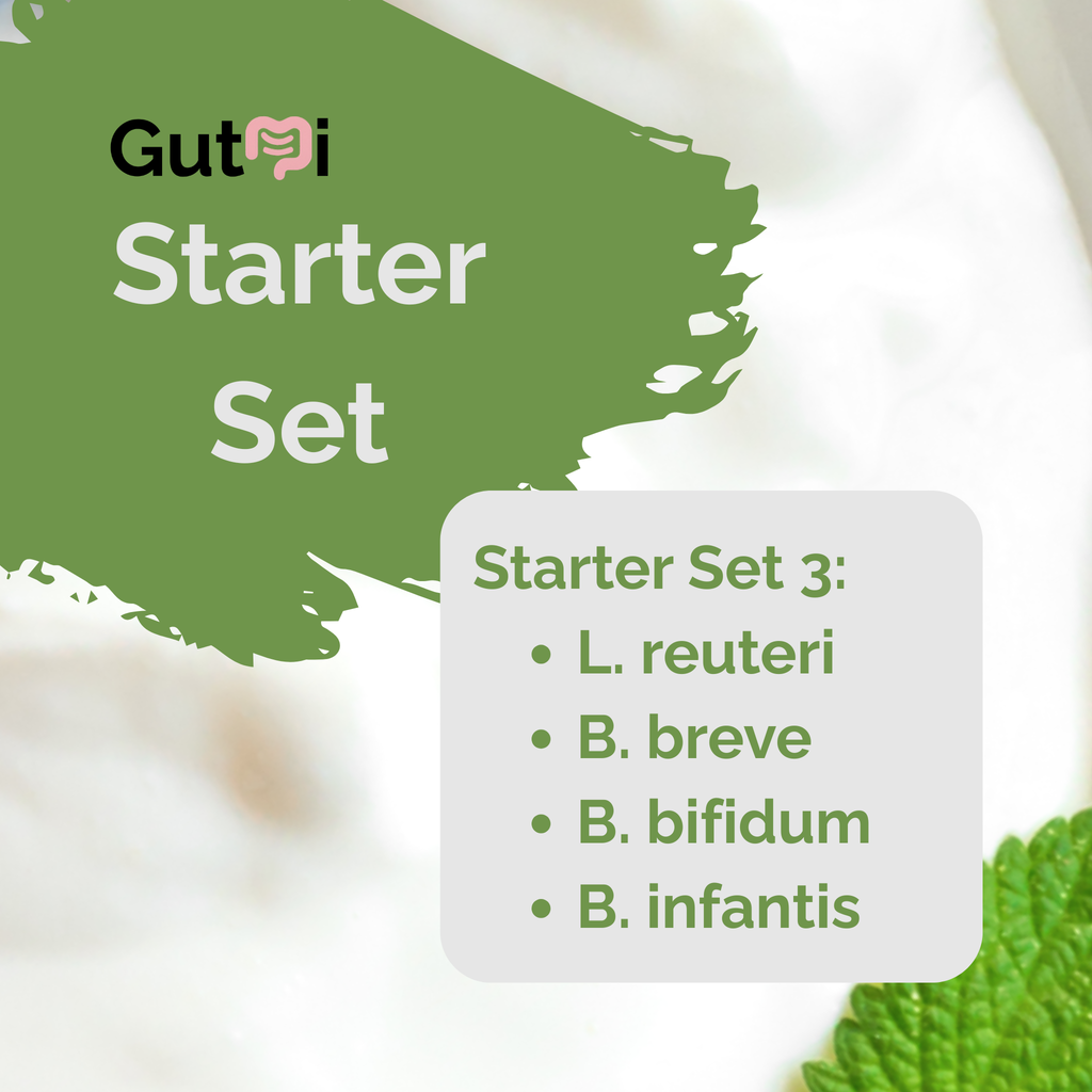 GutMi | L. reuteri + B. breve + B. bifidum + B. infantis | Yogurt Starter Set | Calm Gut | Starter Cultures | Pack of 3