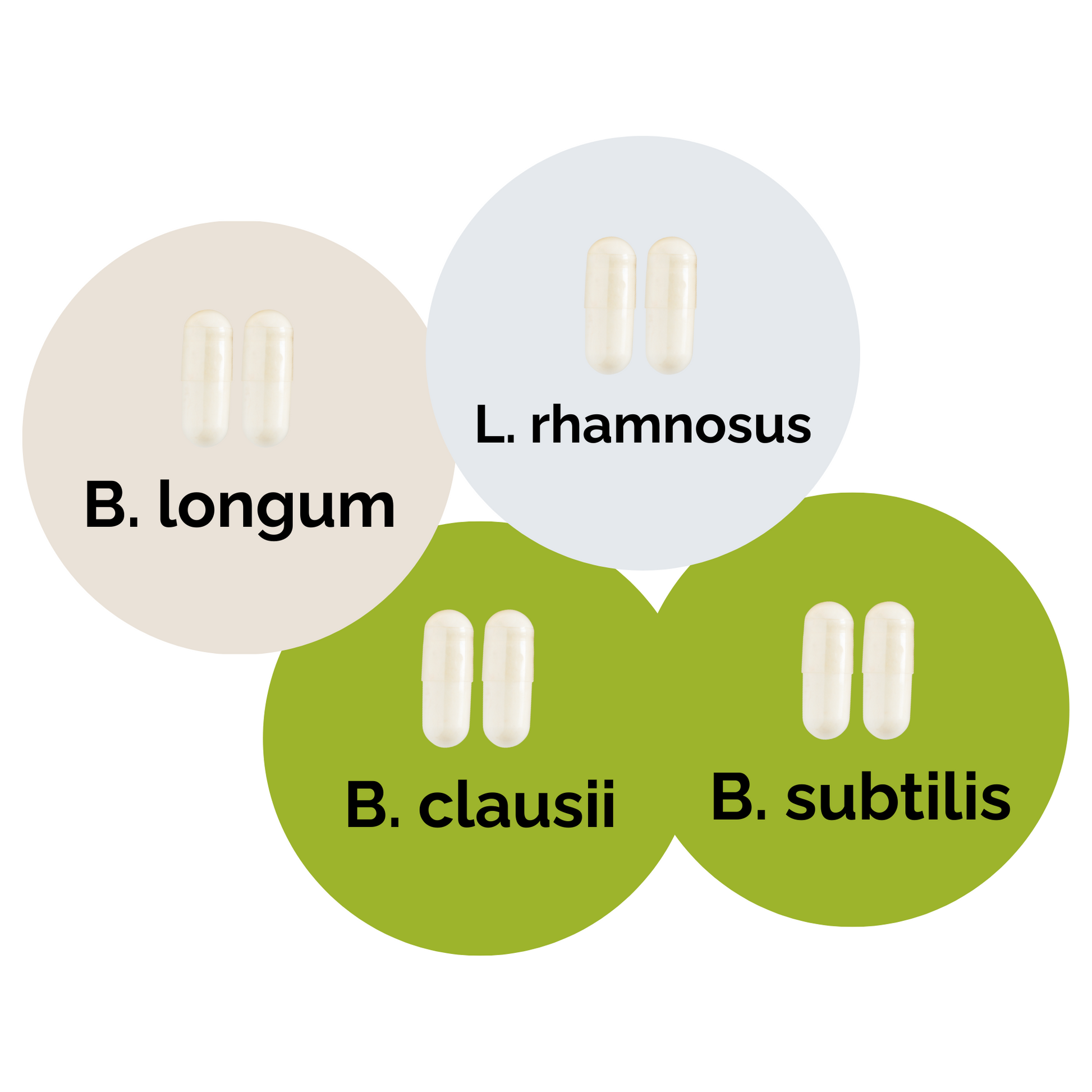 L. brevis + L. rhamnosus + B. subtilis + B. clausii | Sada startérů jogurtu | Startovací kultury | Balíček 3 ks