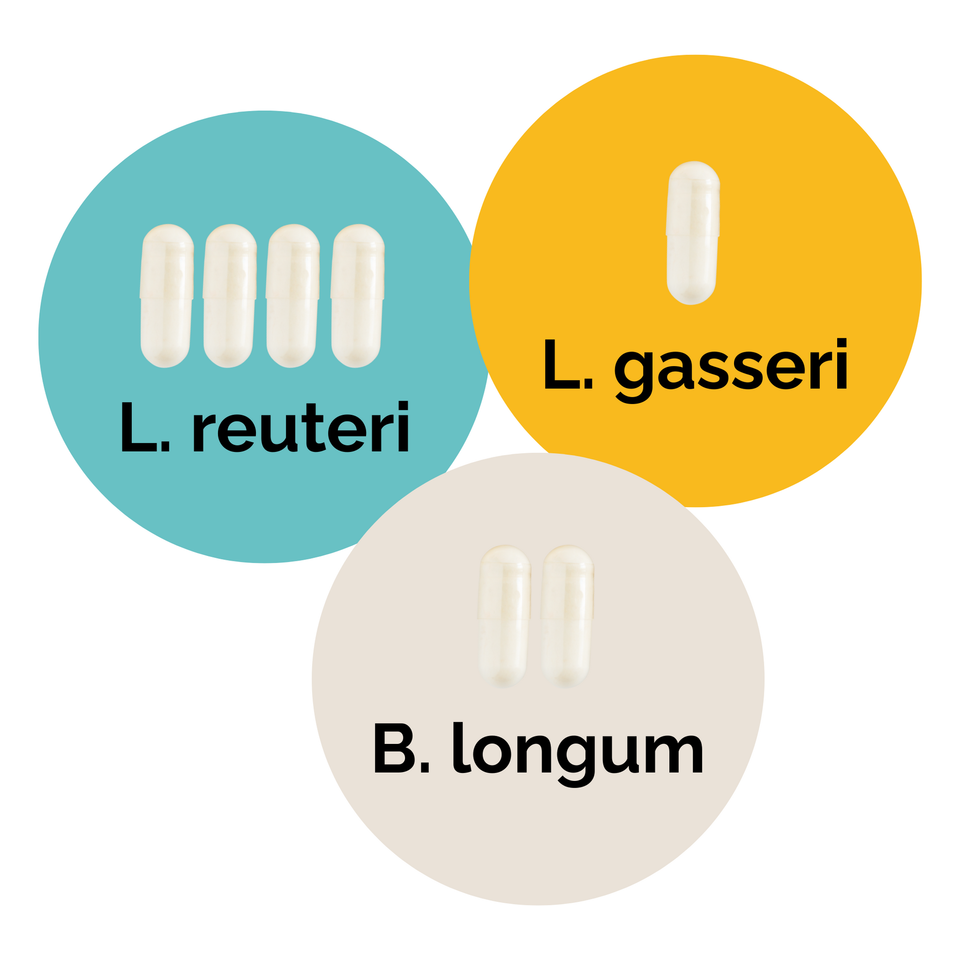 L. reuteri + L. gasseri + B. longum | Sada startérů jogurtu | Startovací kultury | Balení po 3 kusech