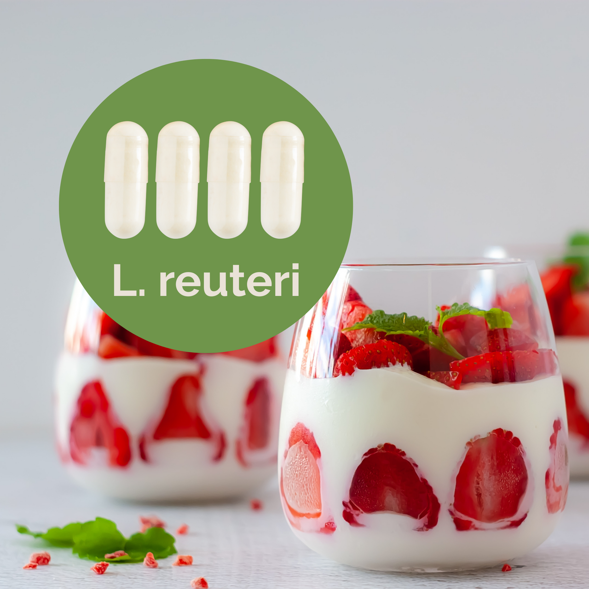L. reuteri | Sada startérů na jogurt | Startovací kultury | Balíček 3 kusů