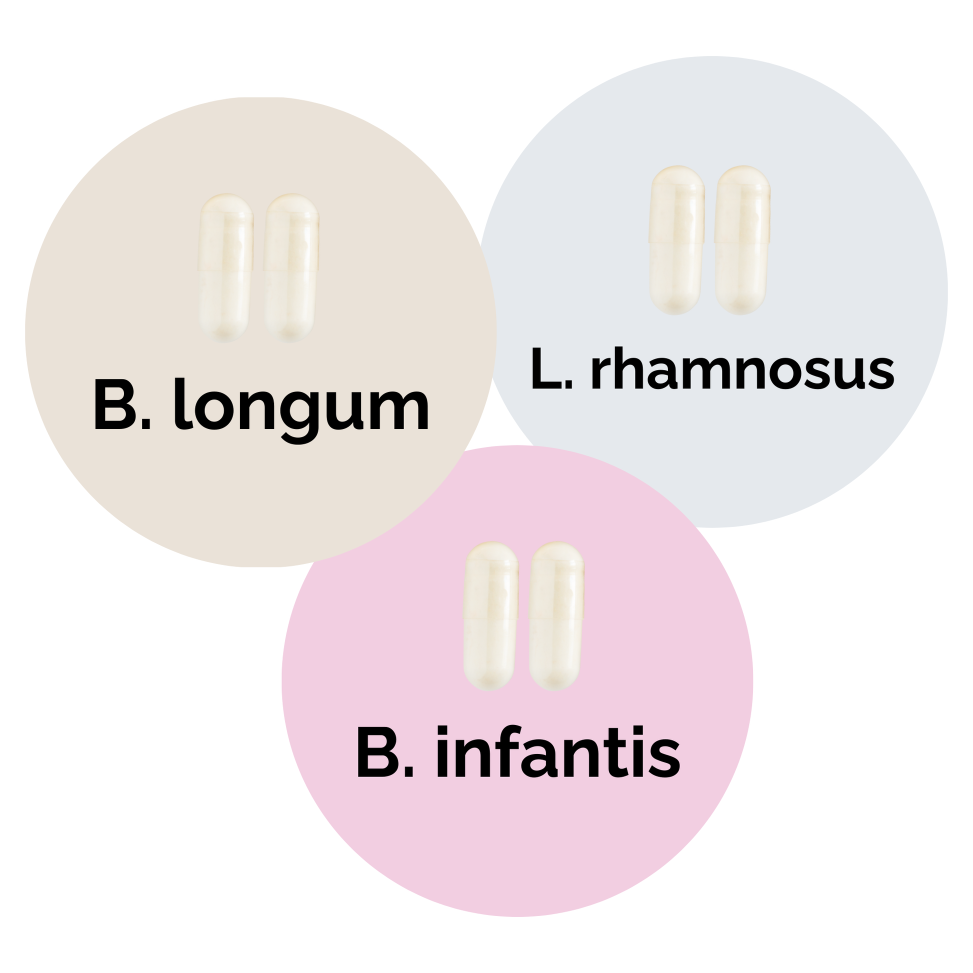 L. rhamnosus + B. infantis + B. longum | Sada startérů jogurtu | Startovací kultury | Balíček 3 ks